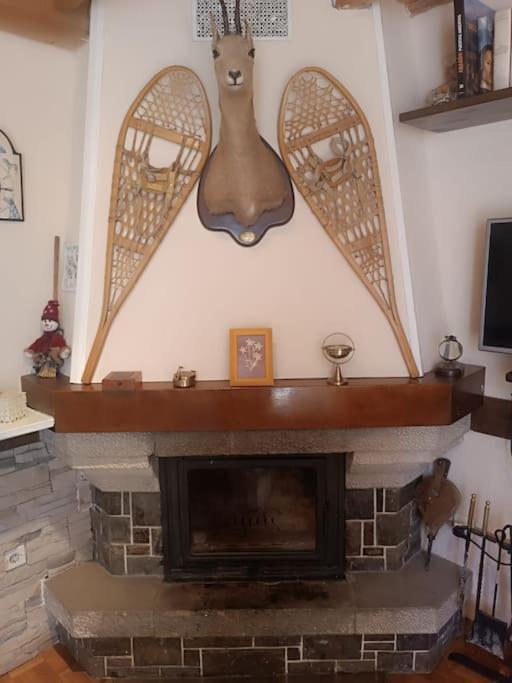 Pena Telera Petfriendly - Arafita Apartamentos El Pueyo de Jaca Esterno foto