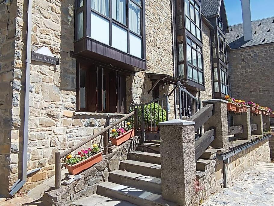 Pena Telera Petfriendly - Arafita Apartamentos El Pueyo de Jaca Esterno foto